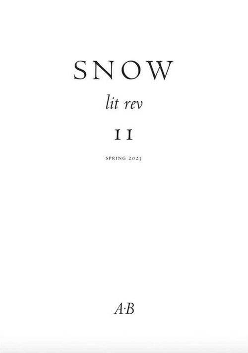 Snow lit rev 11